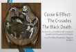 Cause & Effect Of The Crusades & The Black Death