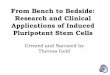 From Bench to Bedside: Research and Clinical Applications of Induced Pluripotent Stem Cells
