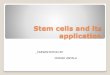 Stem cells and its application