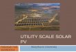Holt_Utility Scale Solar PV2
