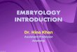 embriology of human