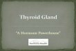 Thyroid, The Hormone Powerhouse