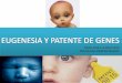 Eugenesia y patente de genes