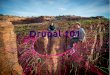 Drupal 101 V-0.1