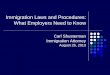 Immigration Laws and Procedures: What Employers Need to Know