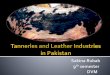 Tanneries and leather industries in pakistan