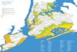 Hurricane Irene NYC evacuation map