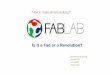 Is FAB LABS a fad or a revolution?