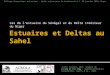 Estuaires et deltas au sahel, Foucher Julien, d'après Zwarts & al.,2009, 30/01/2015, colloque "Estuaires", Royan