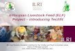 Ethiopian Livestock Feed (ELF) Project: Introducing Techfit