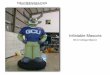 Inflatable Mascots and Characters | Next Generation Inflatables