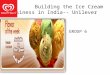 Building the ice cream business in india - unilever business plan strategy analysis