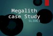 Megalith Casestudy