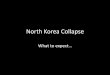 Complete North Korean Government Collapse