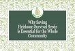 Why Saving Heirloom Survival Seeds is Essential for the Whole Community
