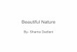 Shama Dadlani-Beautiful nature