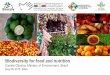Biodiversity for Food and Nutrition in Brazil