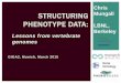GIGA2 Structuring Phenotype Data