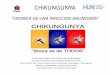 Chikungunya. Universidad del Norte