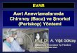 Aort anevrizmalarında chimney (baca) ve snorkel (periskop) yontemi