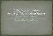 o) Powerpoint Enhancer Evolution Across 20 Mammalian Species