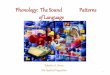 Phonology: The Sound Patterns of Language
