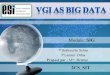 VGI as BIG DATA