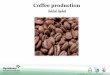Added value of using d2w and d2p in Coffee production value chain