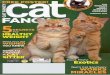 Selecting a Cat Sitter-Cat fancy January 2012