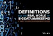 Definitions for Real World of Big Data Marketing