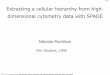 Extracting a cellular hierarchy from high-dimensional cytometry data with SPADE