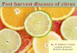 Post harvest lecture  citrus-1