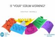 Is "your" SCRUM working?