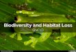 Biodiversity and Habitat Loss