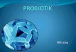 Penawaran probiotik untuk corporate (Industri makanan&minuman)