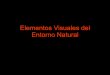 Elementos Visuales Del Entorno Natural2