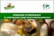 Poradnik o pszczołach - co otrzymujemy dzięki pracy pszczołowatych?