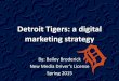 Detroit Tigers: a digital marketing campaign