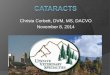 Cataracts, Dr. Christa Corbett, 11/8/14