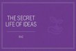 The Secret Life of Ideas