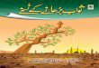 Secret of Earning More Reward (Sawab) in Urdu