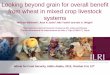 Looking beyond grain for overall benefit from wheat