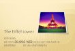 Eiffel Tower Trip