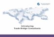About Trade Bridge Consultants