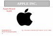 Apple brand audit pgexp 13 15-iimr