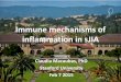 Immune Mechanisms of Inflamation in SJIA