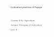 B.sc. agri i po h unit 4.8 cultivation practices of papaya