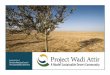 Project Wadi Attir
