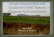 Simple quantitative and qualitative field test for diagnosis of small holder farm problems