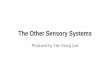 The other sensory systems